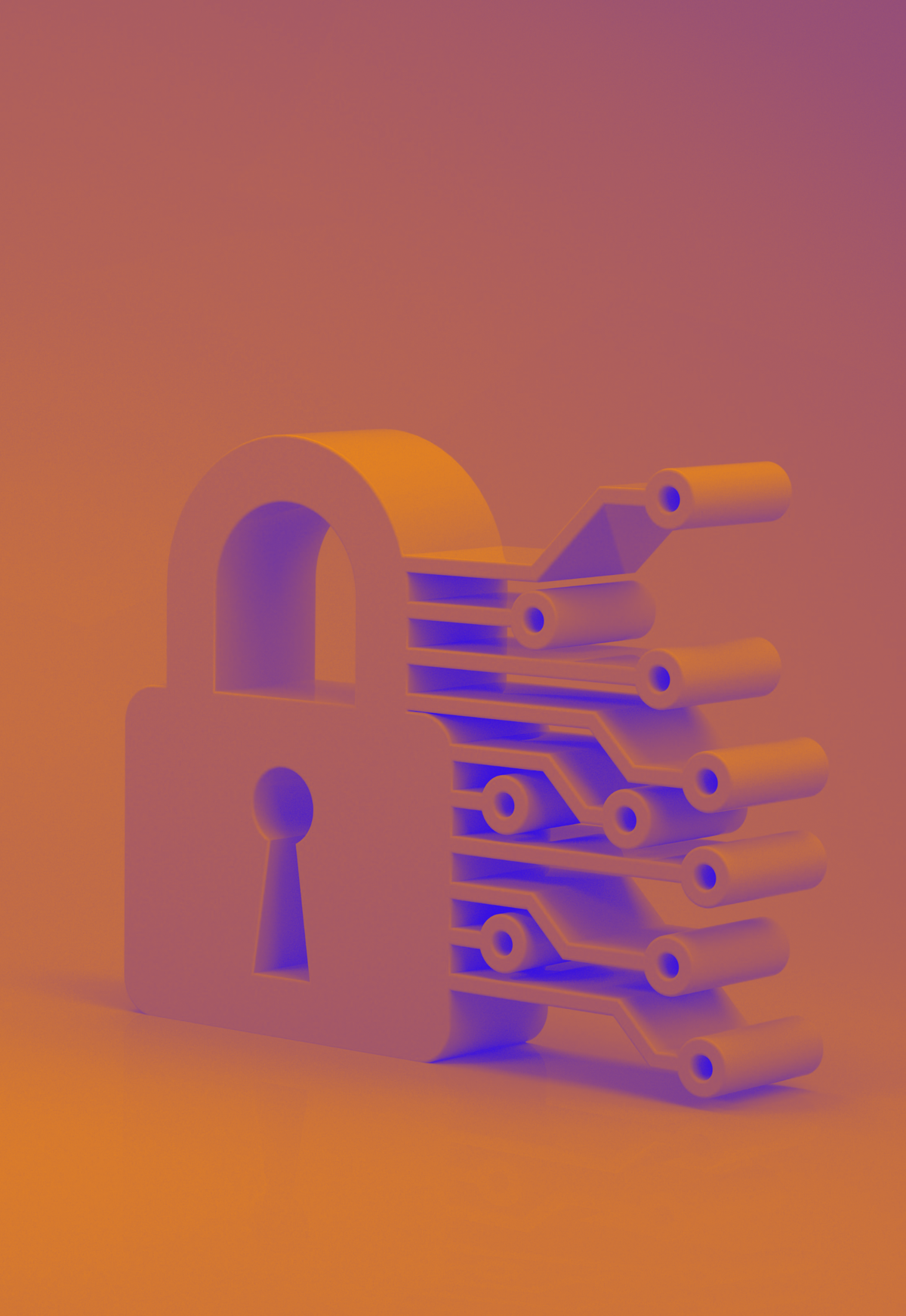 Cyfrowa prywatność