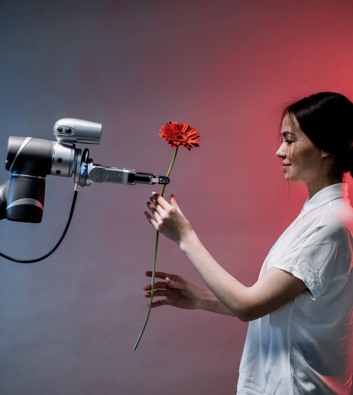 sztuczna inteligencja, robot