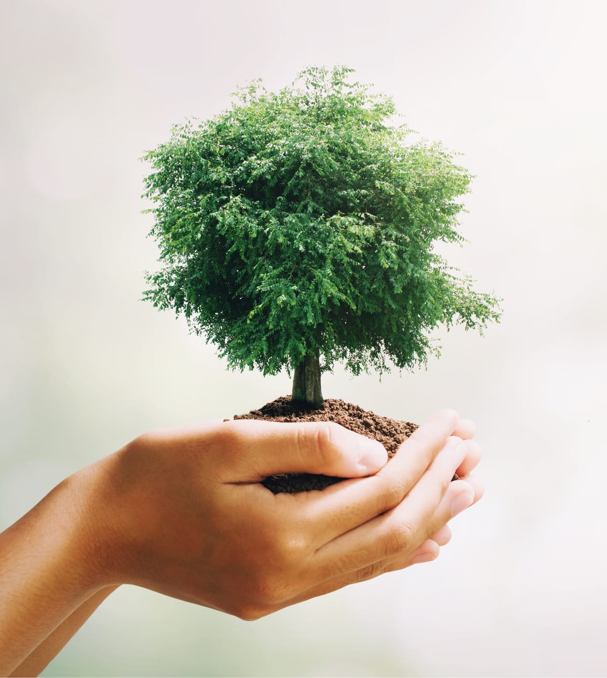 Zmieniając ekosystem IT - Balans pomiędzy innowacją a odpowiedzialnością za środowisko