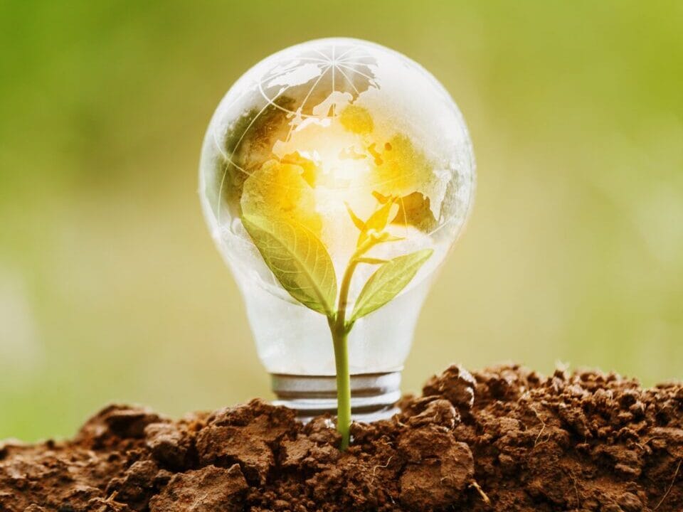 CSR-environment-business