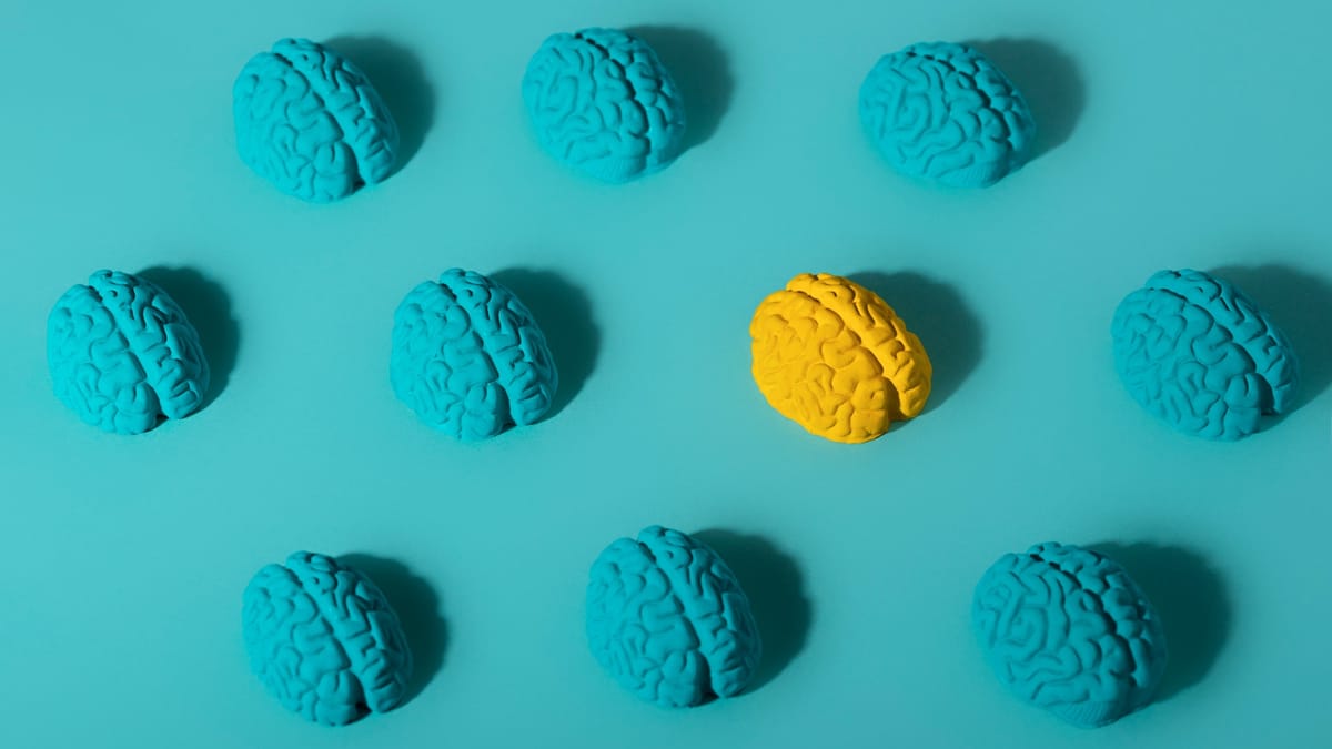 More than the cloud. Snowflake and Synerise join forces in the battle for customer AI