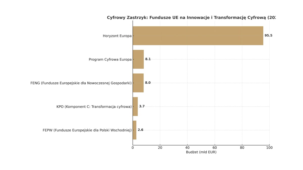 Cyfrowy zastrzyk: Jak fundusze unijne napędzają tech-rewolucję w Polsce i Europie Środkowo-Wschodniej