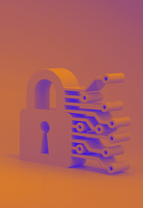 Cyfrowa prywatność