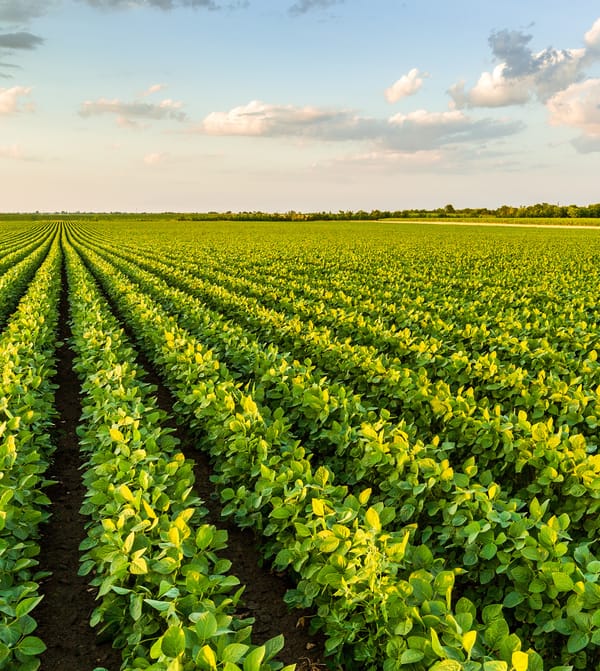 Rolnictwo 4.0 – czwarta rewolucja technologiczna w rolnictwie 