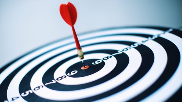 programy partnerskie IT, przywództwo