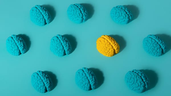 More than the cloud. Snowflake and Synerise join forces in the battle for customer AI