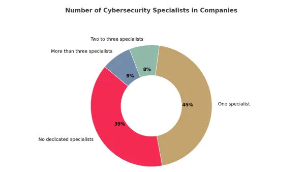 Poland's alarming skills gap. Why are we such an easy target for hackers?